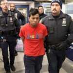 Elon Musk On NYC Subway Horror: Elon Musk reacts to shocking revelation about migrant who set woman on fire in NYC subway